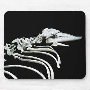 Grauwal-Fossil Mousepad