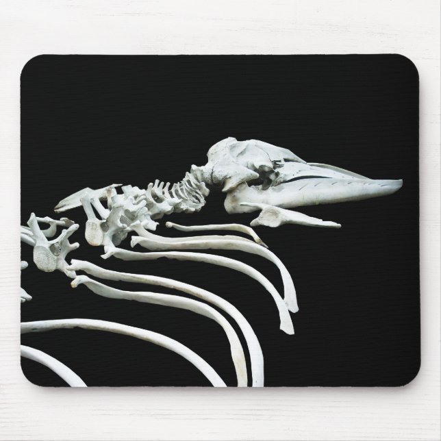 Grauwal-Fossil Mousepad (Vorne)