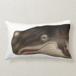 Grauwal-lumbales SeeWurfs-Kissen Lendenkissen