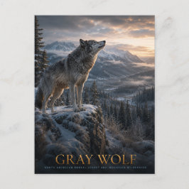 Grauwolf-Berg-Wilderness-Tiere Postkarte