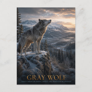 Grauwolf-Berg-Wilderness-Tiere Postkarte