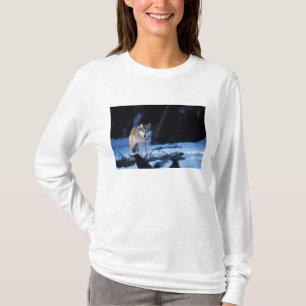 Grauwolf, Canis lupus, in den Vorgebirgen T-Shirt