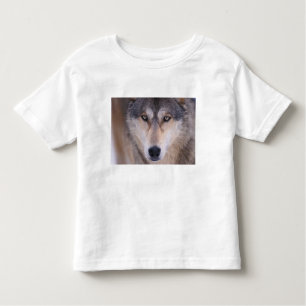 Grauwolf, Canis lupus, nah Kleinkind T-shirt