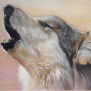 Grauwolf heult Wildtiere, die realistische Kunst m