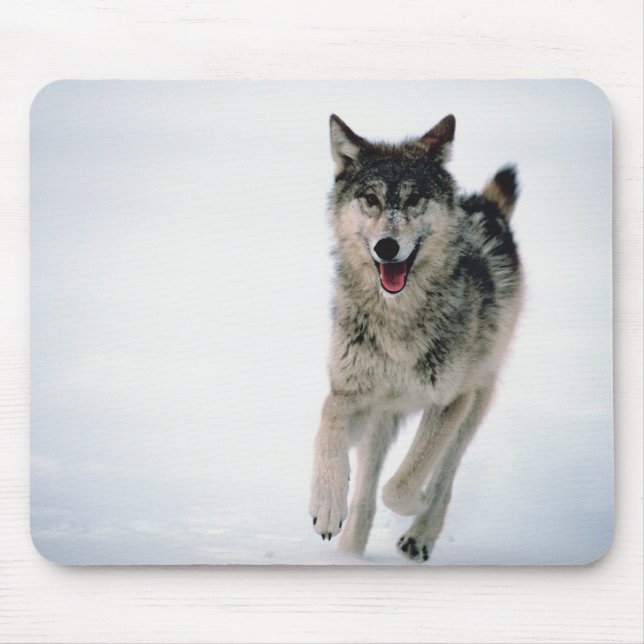 Grauwolf läuft mousepad (Vorne)