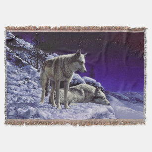 Grauwölfe im Winterschnee in der Nacht Decke
