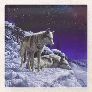 Grauwölfe im Winterschnee in der Nacht Glasuntersetzer