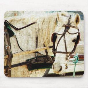 Gray Amish Buggy Horse Mousepad