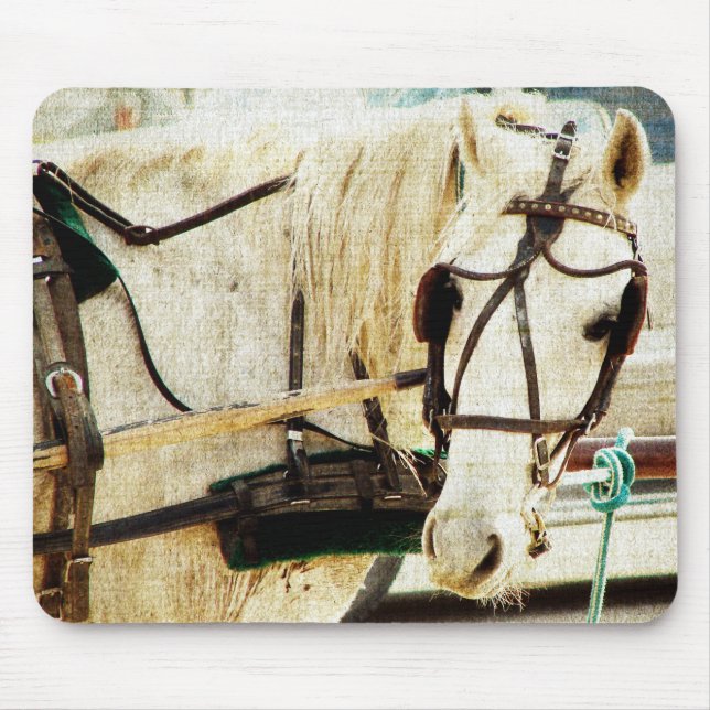 Gray Amish Buggy Horse Mousepad (Vorne)