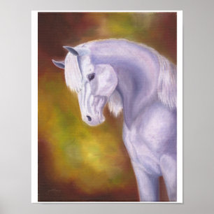 Gray-Arabian-Stute, 11"x14" Poster