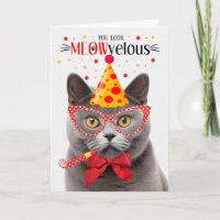 Gray British Shorthair Cat MEOWvelous Birthday