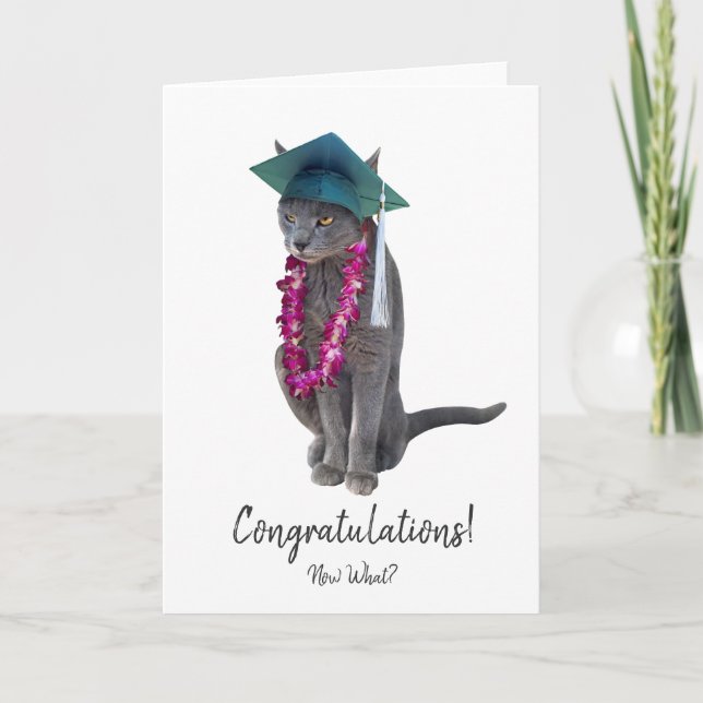 Gray Cat Abschluss Card Karte (Vorderseite)