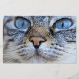 Gray Cat Briefpapier