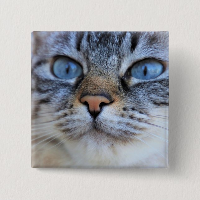 Gray Cat Button (Vorderseite)