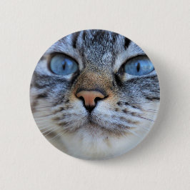 Gray Cat Button