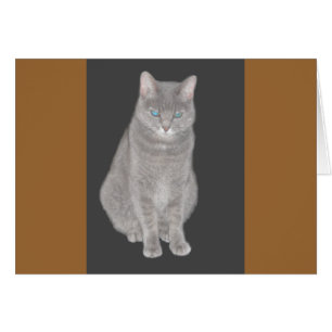 Gray Cat Card