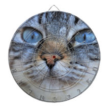 Gray Cat