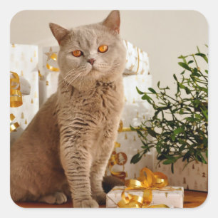 Gray Cat Golden Geschenke Quadratischer Aufkleber