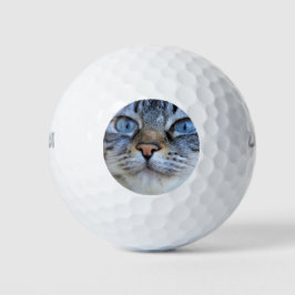 Gray Cat Golfball