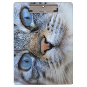 Gray Cat Klemmbrett