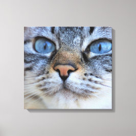 Gray Cat Leinwanddruck