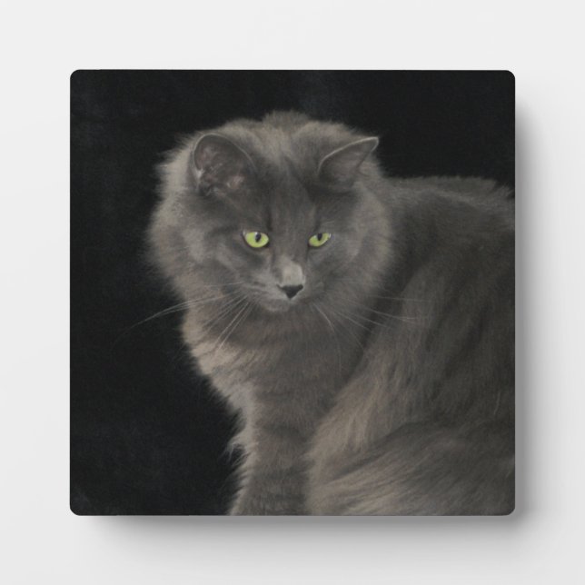 Gray Cat Long Hair Russian Blue Kitten Niedlich Fotoplatte (Vorderseite)