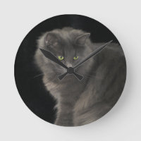 Gray Cat Long Hair Russian Blue Kitten Niedlich