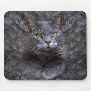 Gray Cat Portrait Mousepad