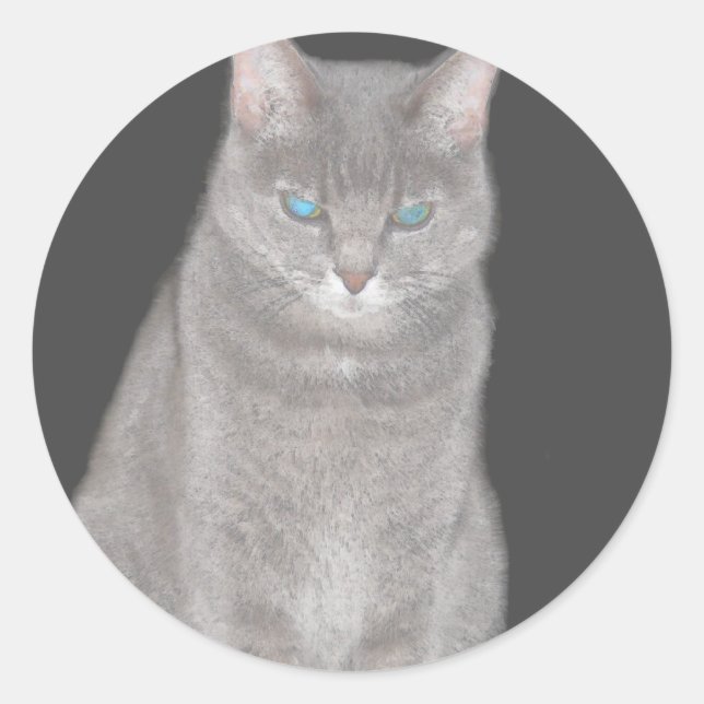 Gray Cat Sticker (Vorderseite)