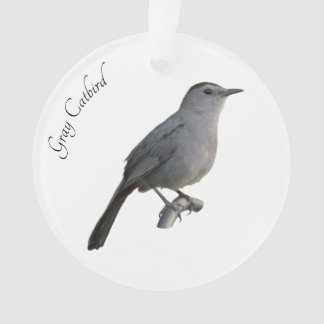 Gray Catbird Ornament