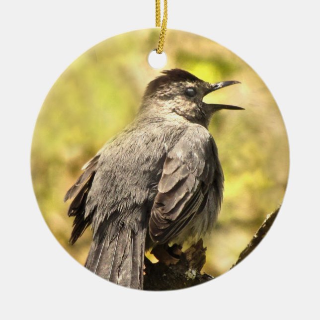 Gray Catbird singt sein Song-Ornament Keramikornament (Vorne)
