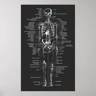gray chalkboard style skeleton poster