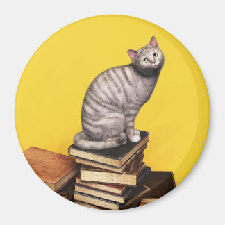 Gray Chat sur une pile de livres Magnet