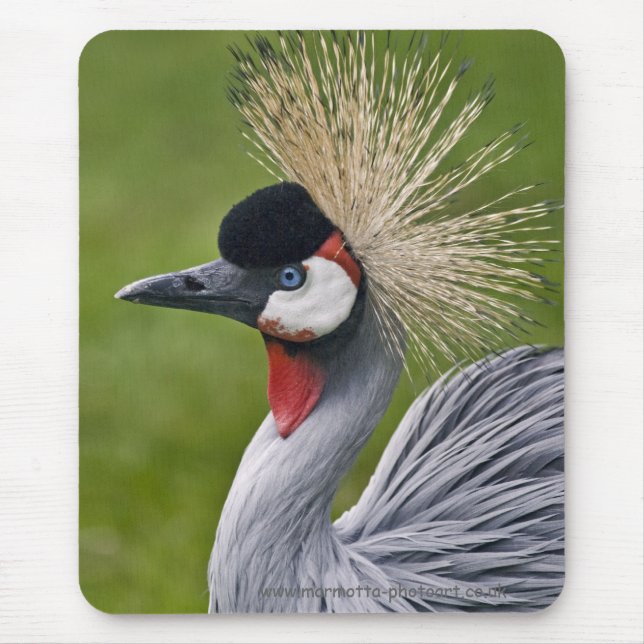 Gray Crowned Crane Mousemat Mousepad (Vorne)