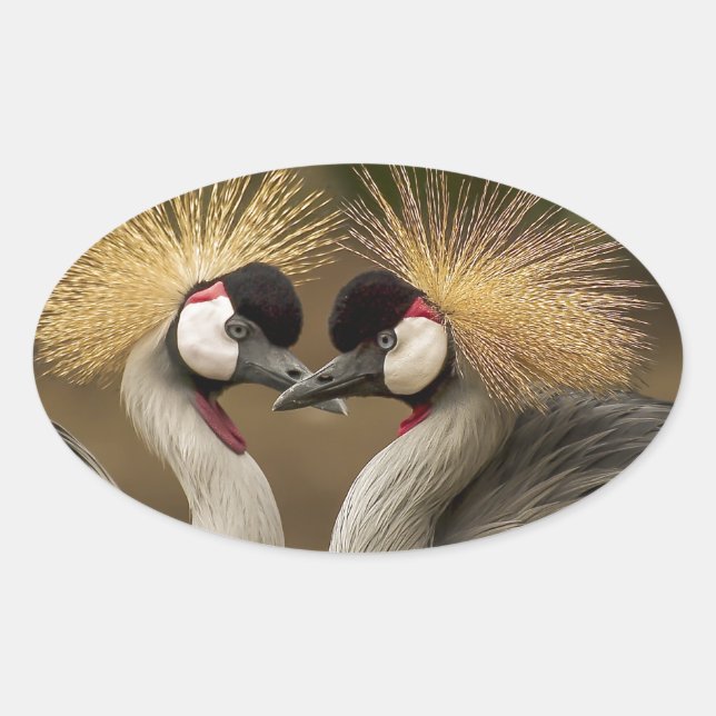 Gray Crowned Crane Ovaler Aufkleber (Vorderseite)