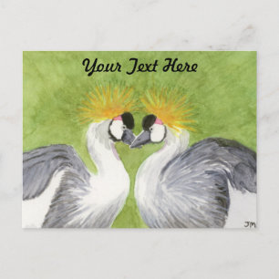 Gray Crowned Cranes Postkarte
