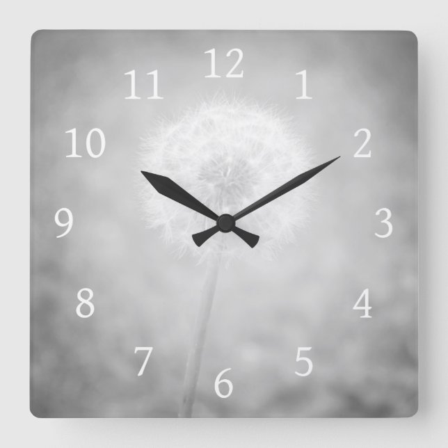 Gray Dandelion Foto 31 Quadratische Wanduhr (Vorderseite)