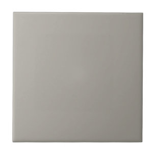 Gray Dorian Square Küche und Badezimmer Fliese