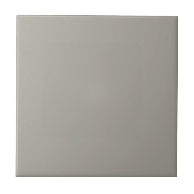Gray Dorian Square Küche und Badezimmer Fliese (Vorderseite)
