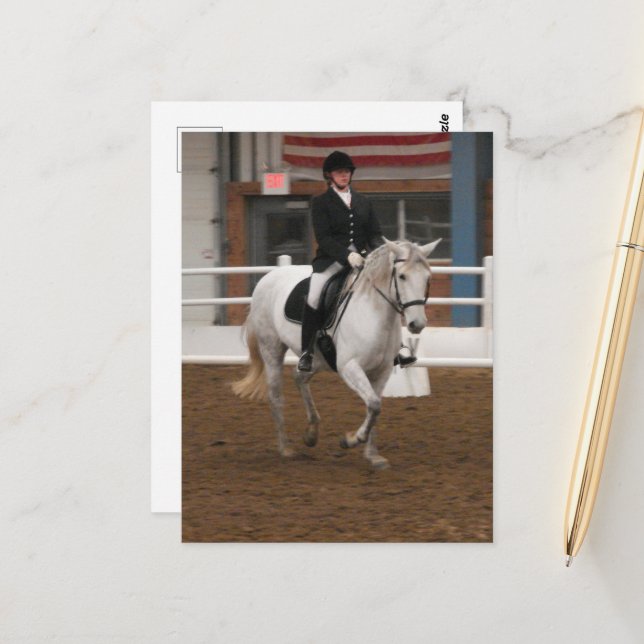 Gray Dressage Horse Postkarte (Vorderseite/Rückseite Beispiel)