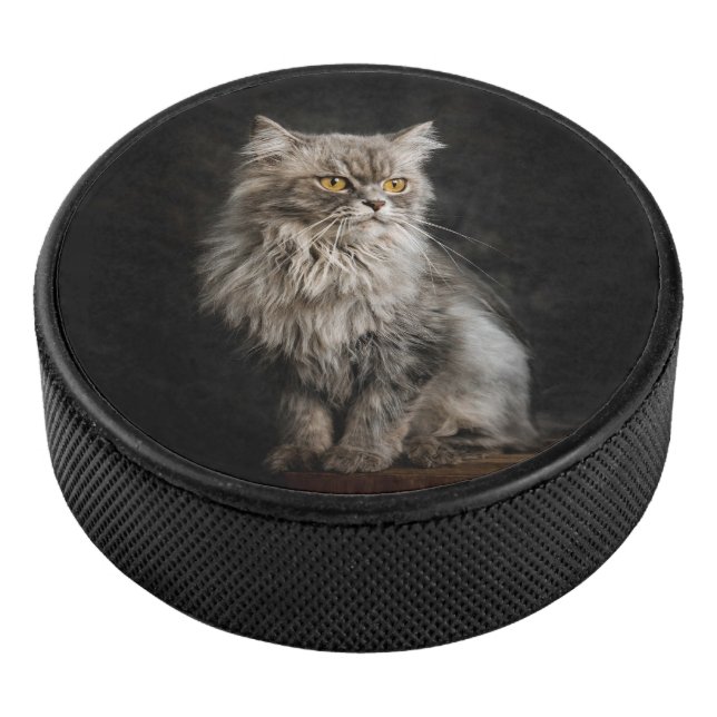 Gray Fluffy Cat Eishockey Puck (3/4)