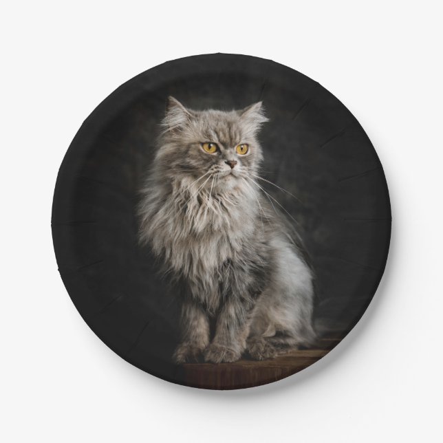 Gray Fluffy Cat Pappteller (Vorderseite)
