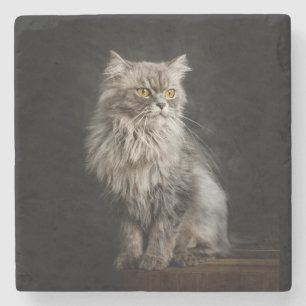 Gray Fluffy Cat Steinuntersetzer