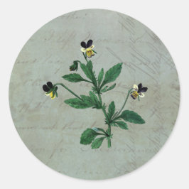 Gray Green mit botanischen Violas Runder Aufkleber