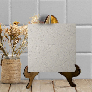 Gray Greige Crackled Glaze Simple Modern Texture Fliese