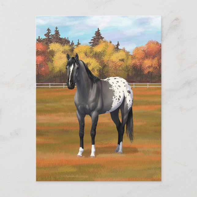 Gray Grulla Appaloosa Grullo Quarter Horse Stallio Postkarte (Vorderseite)