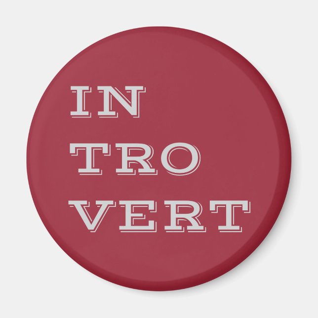 Gray Introvert Magnet (Vorne)