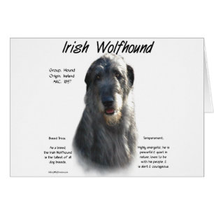 Gray Irish Wolfhound History