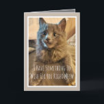 Gray Kitten Funny Birthday Card From Cat Karte<br><div class="desc">Die lustige Geburtstagskarte von der Katze</div>