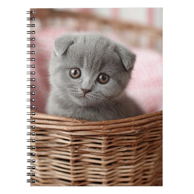 Gray Kitten in Basket-Notebook Notizblock (Vorderseite)